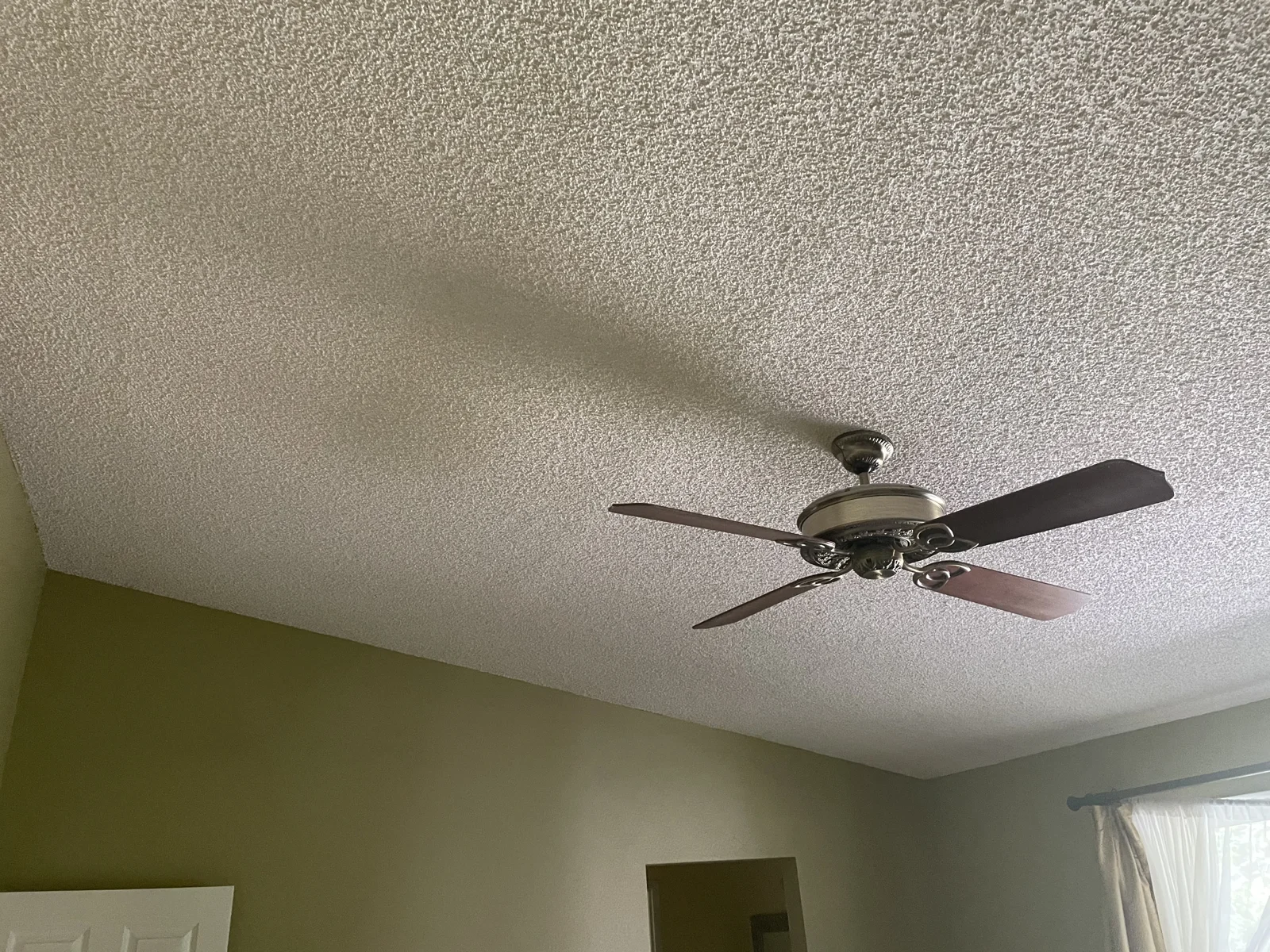 Textured white ceiling and ceiling fan above olive-green bedroom walls